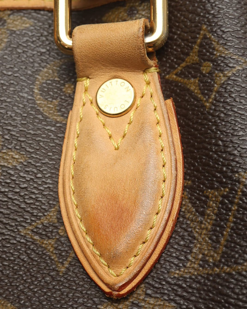 Louis Vuitton Monogram Neo Bag