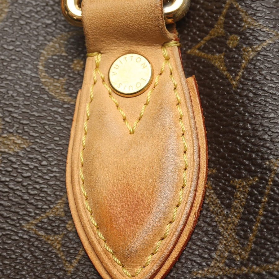 Louis Vuitton Monogram Neo Bag