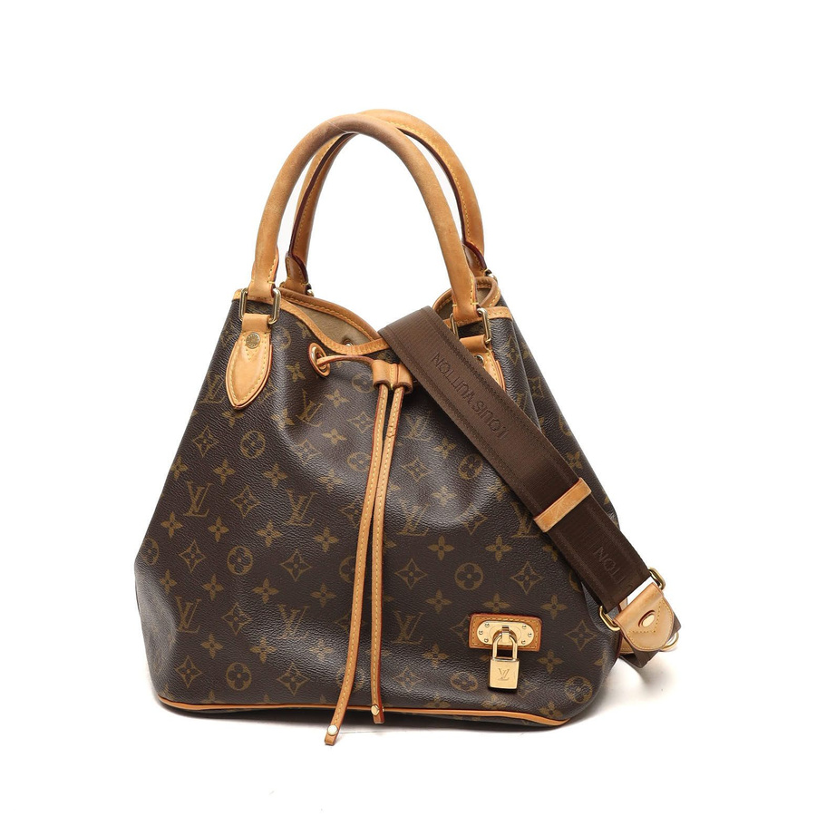 Louis Vuitton Monogram Neo Bag