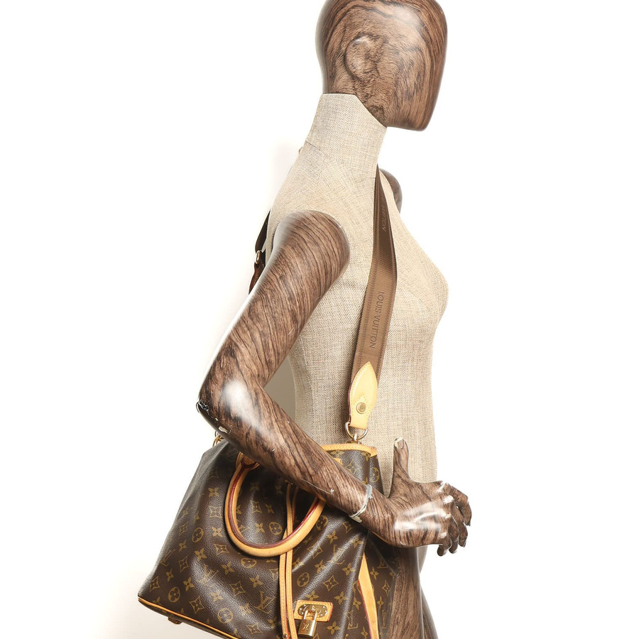 Louis Vuitton Monogram Neo Bag