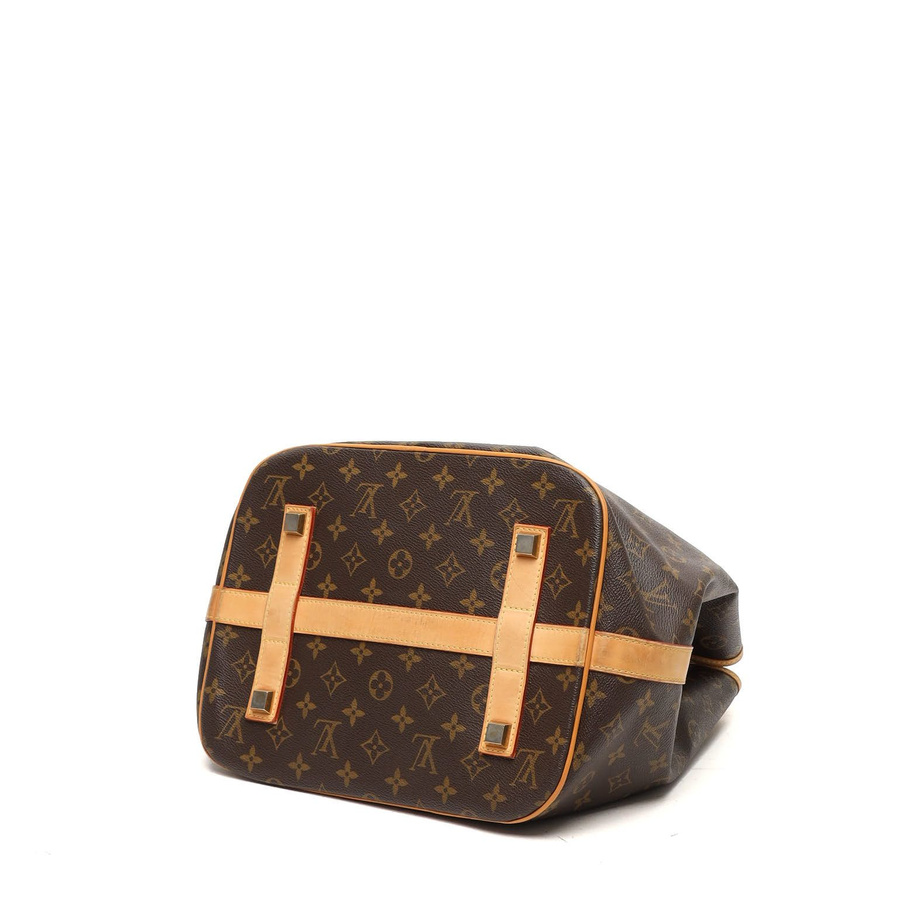 Louis Vuitton Monogram Neo Bag
