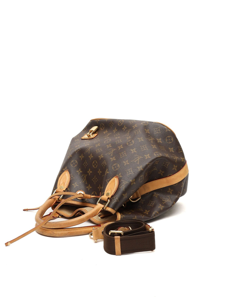 Louis Vuitton Monogram Neo Bag