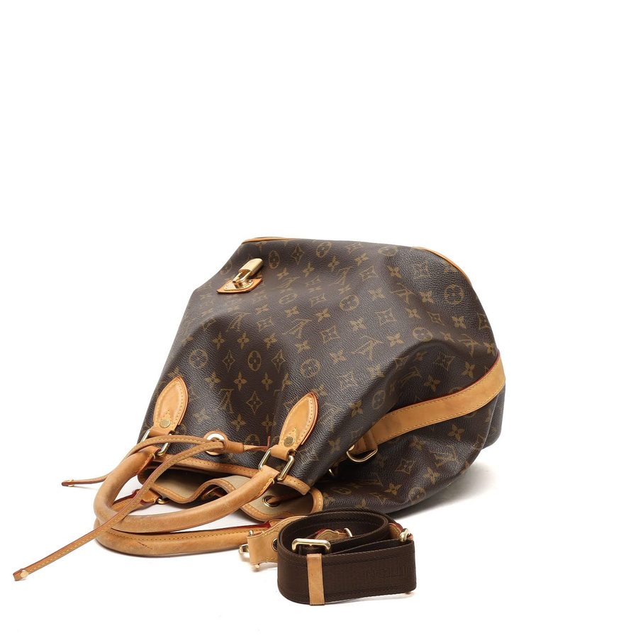 Louis Vuitton Monogram Neo Bag