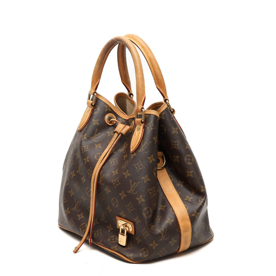 Louis Vuitton Monogram Neo Bag