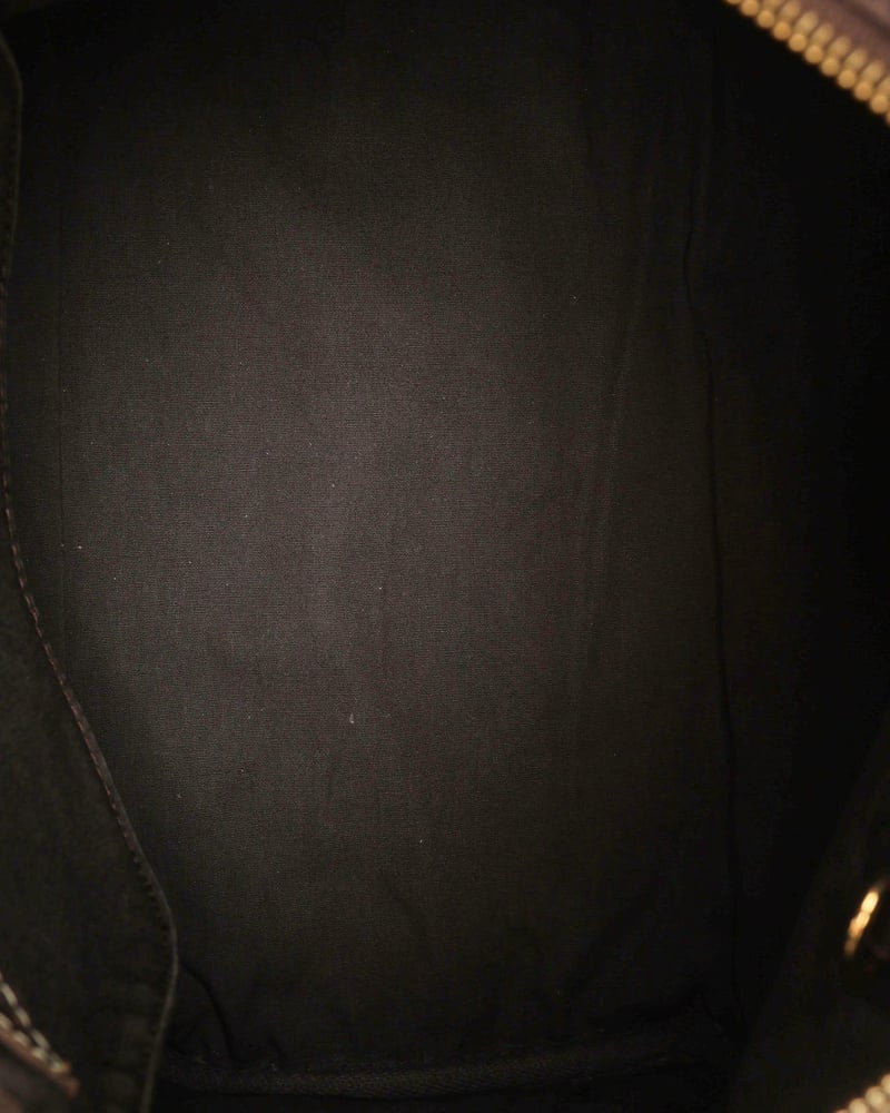 Louis Vuitton Mini Lin Speedy 30 Bag