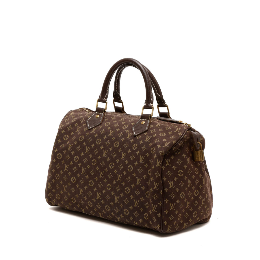 Louis Vuitton Mini Lin Speedy 30 Bag