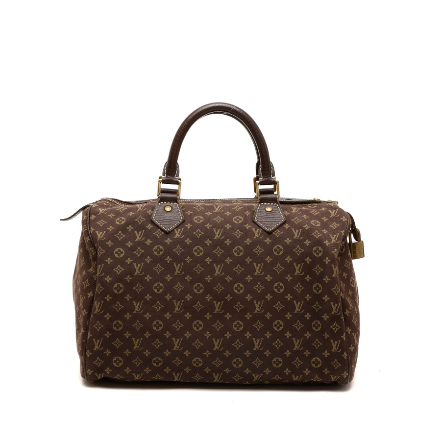 Louis Vuitton Mini Lin Speedy 30 Bag