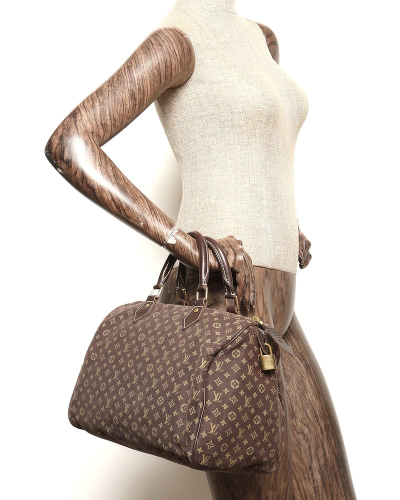 Louis Vuitton Mini Lin Speedy 30 Bag