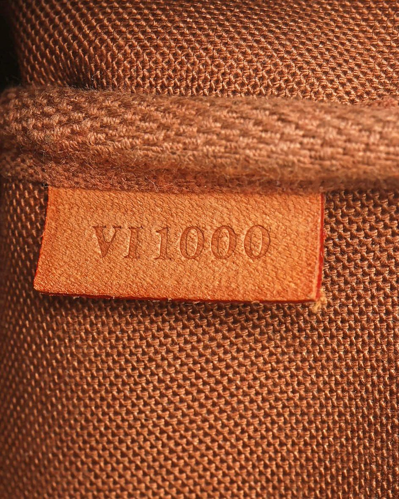 Louis Vuitton Monogram Pochette Accessoires Bag