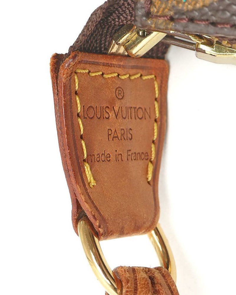 Louis Vuitton Monogram Pochette Accessoires Bag