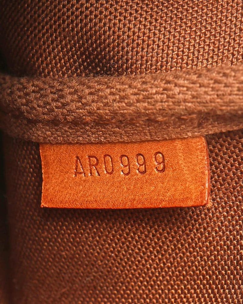 Louis Vuitton Monogram Pochette Accessoires Bag