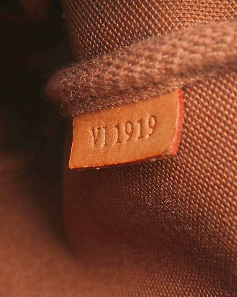 Louis Vuitton Monogram Pochette Accessoires Bag