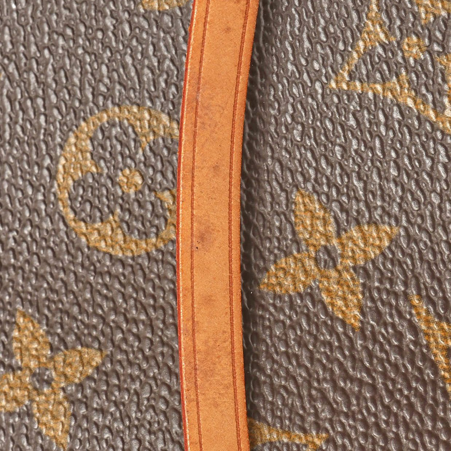 Louis Vuitton Monogram Pochette Accessoires Bag