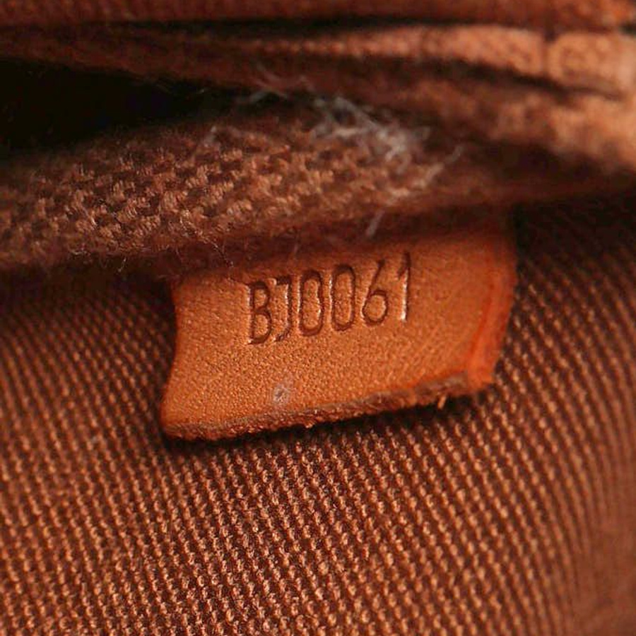 Louis Vuitton Monogram Pochette Accessoires Bag