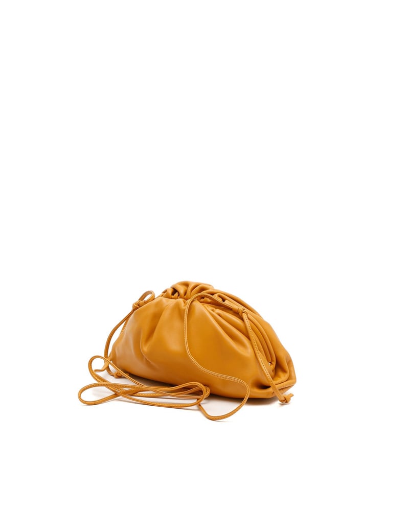Bottega Veneta Mini The Pouch Bag