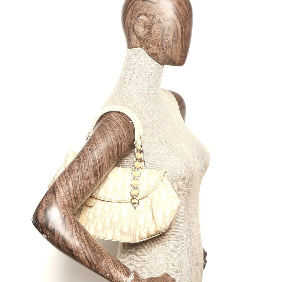 Christian Dior Trotter Romantique Bag