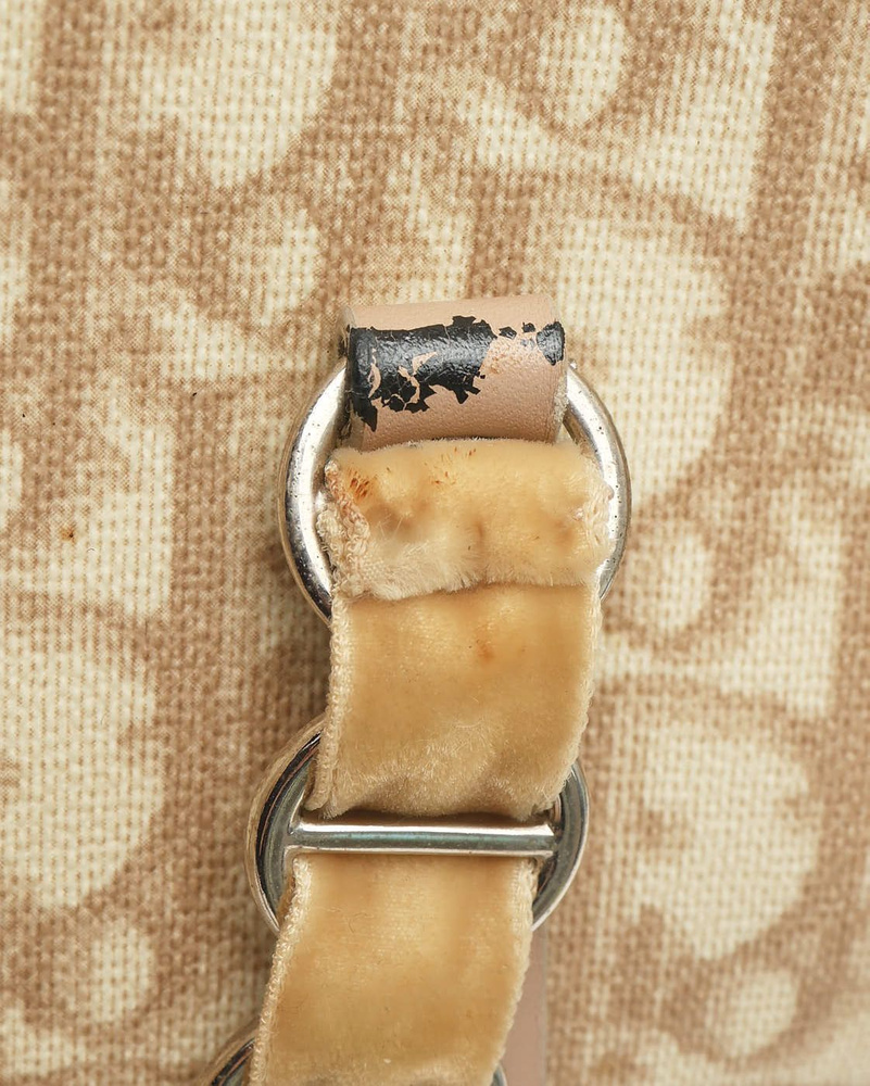 Christian Dior Trotter Romantique Bag