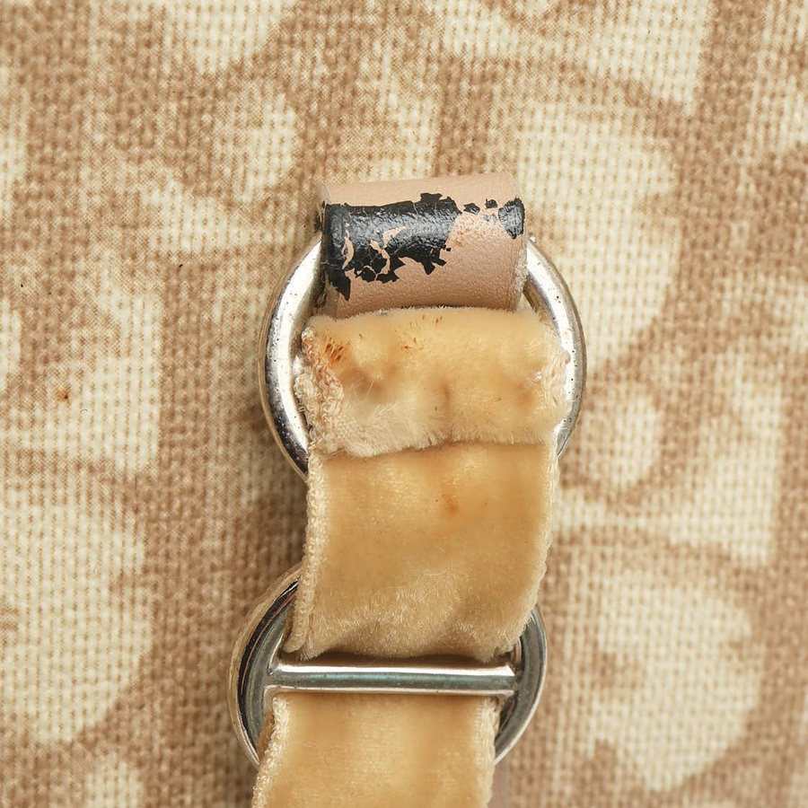 Christian Dior Trotter Romantique Bag