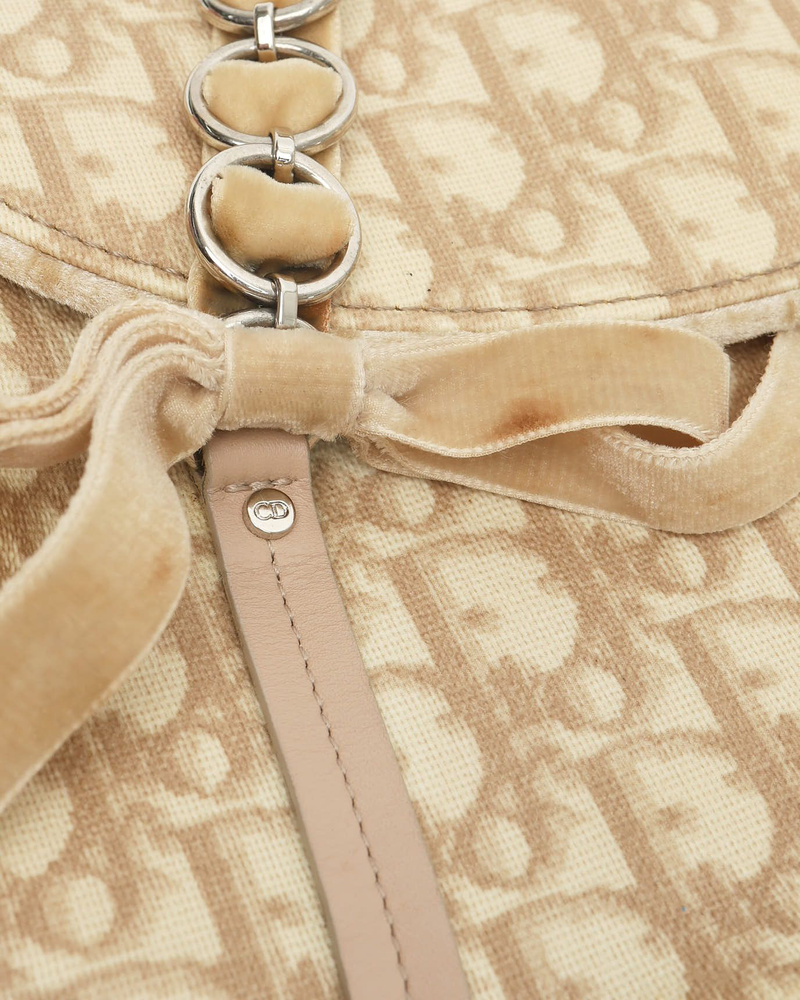 Christian Dior Trotter Romantique Bag