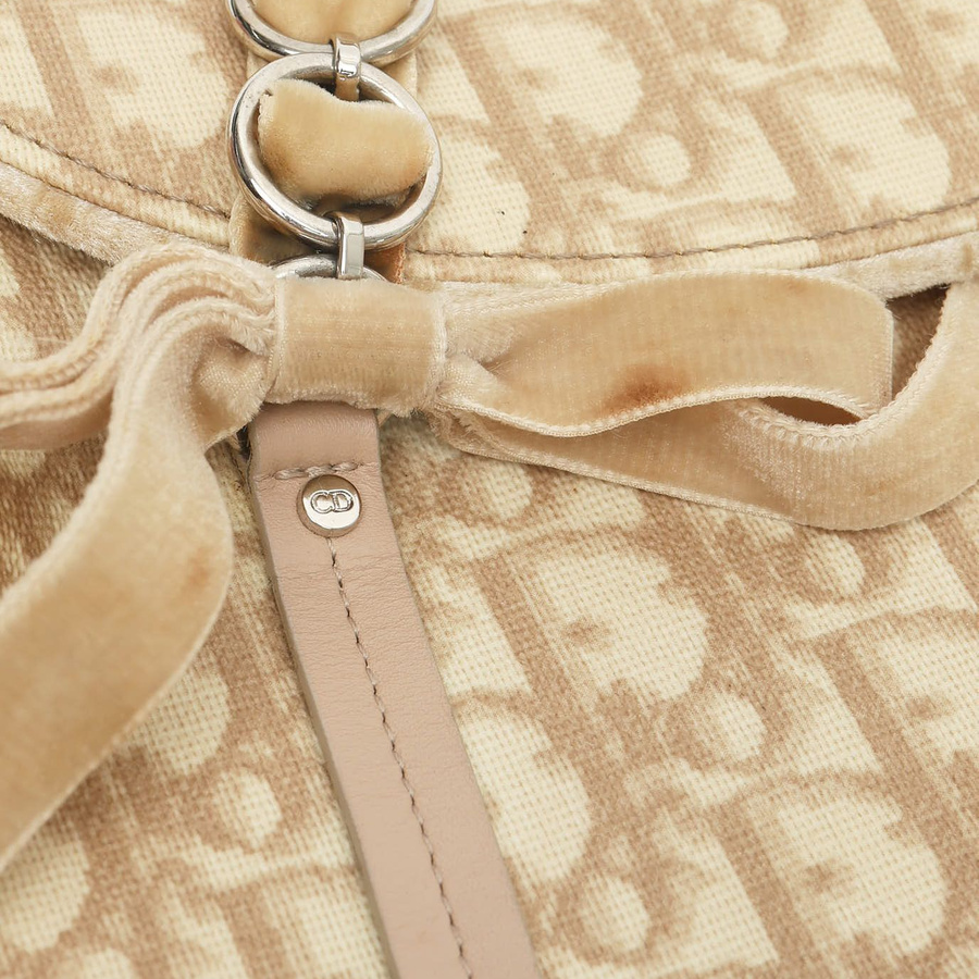 Christian Dior Trotter Romantique Bag