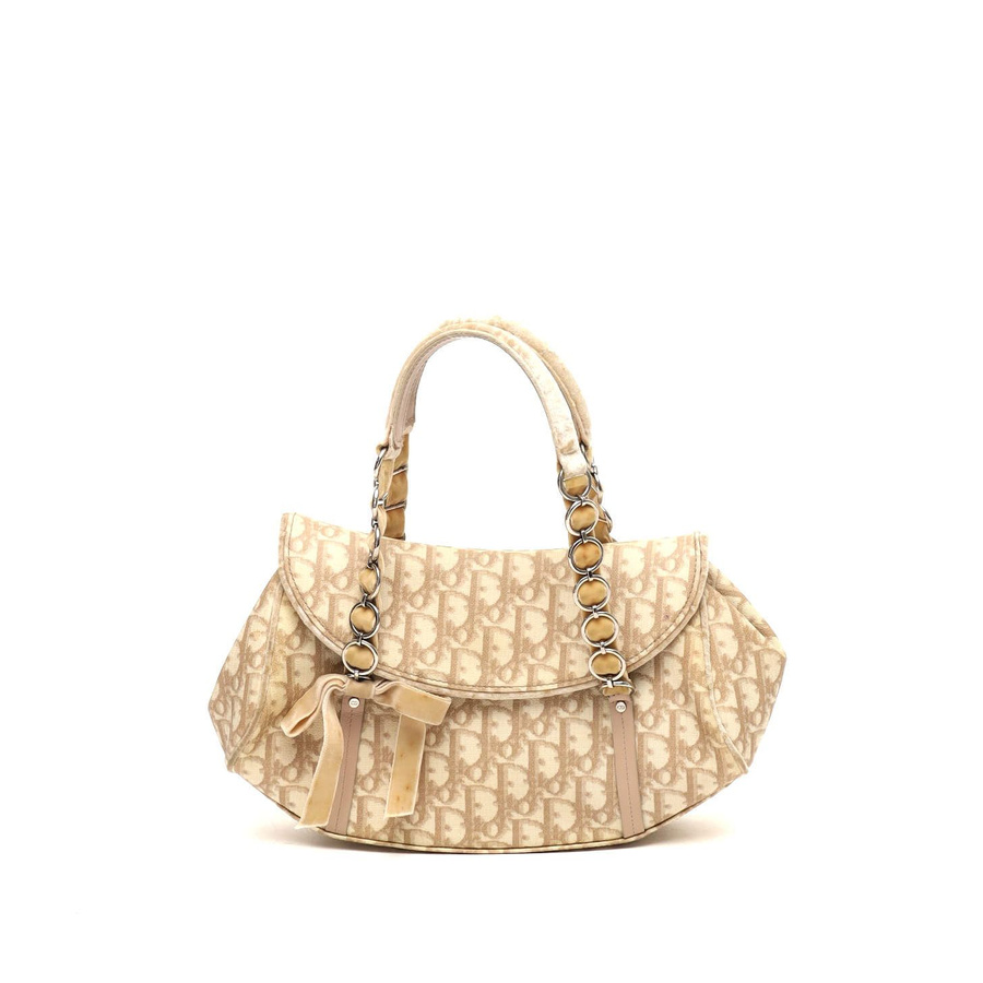 Christian Dior Trotter Romantique Bag
