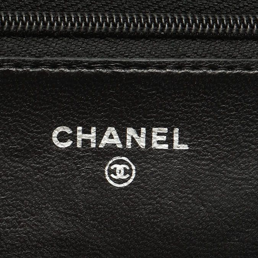 Chanel Classic Wallet On Chain Bag