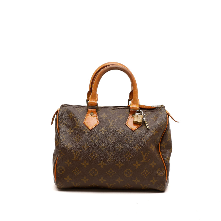 Louis Vuitton Monogram Speedy 25 Bag