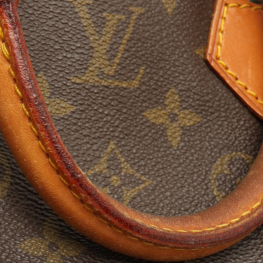 Louis Vuitton Monogram Speedy 25 Bag