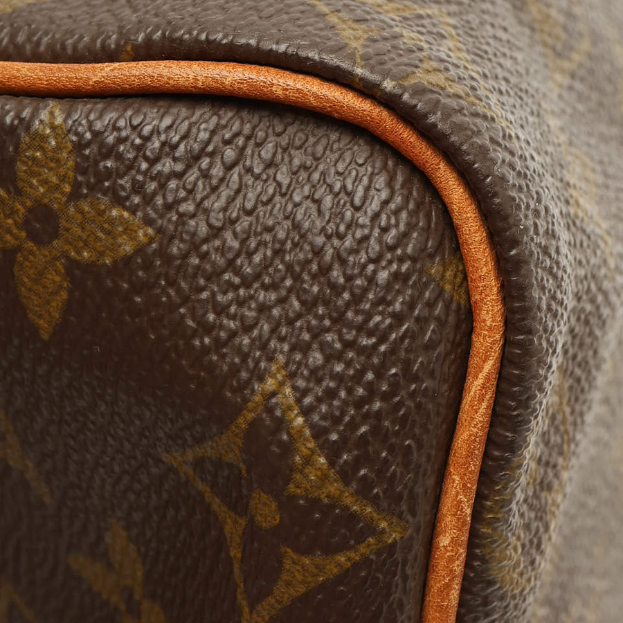 Louis Vuitton Monogram Speedy 25 Bag