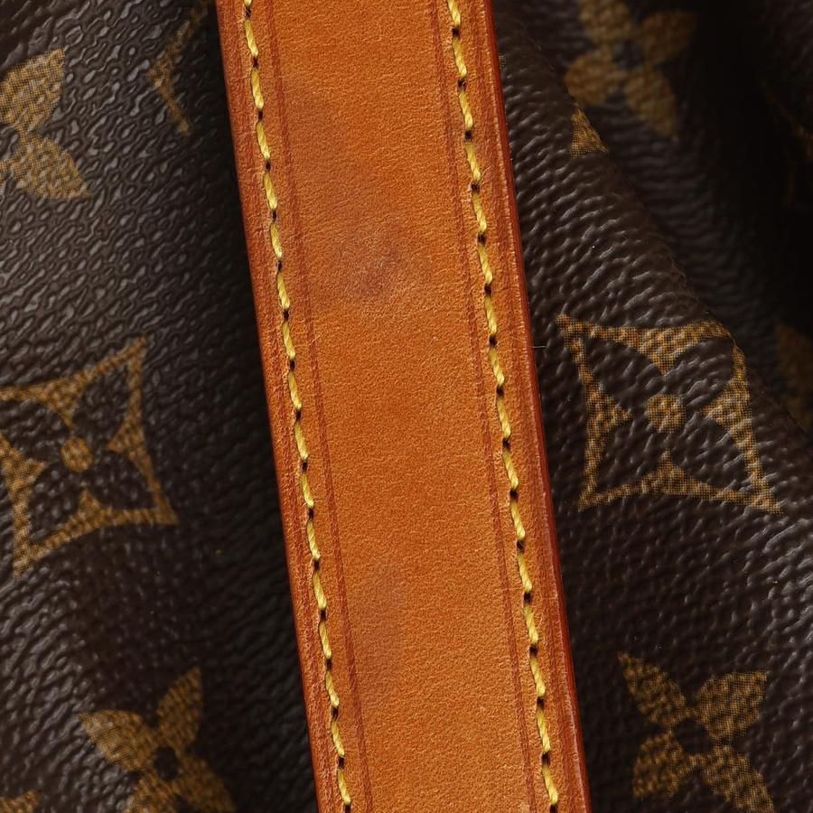 Louis Vuitton Monogram Petit Noé Bag