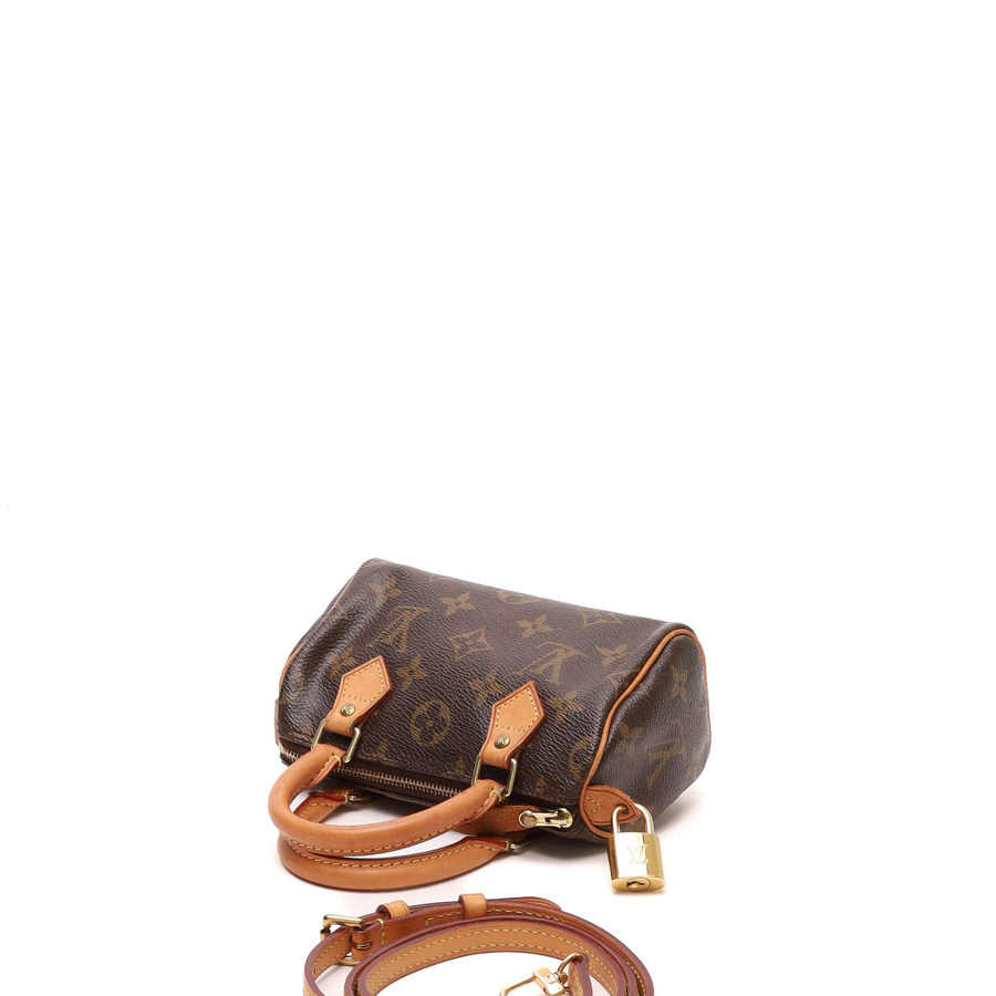 Louis Vuitton Monogram Nano Speedy Bag