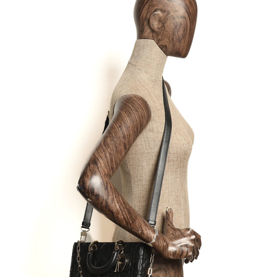 Christian Dior Lady D-Joy Bag