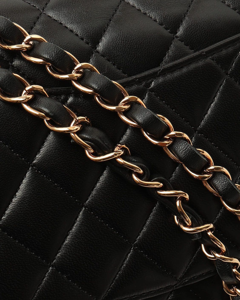 Chanel Classic Small Double Flap Bag