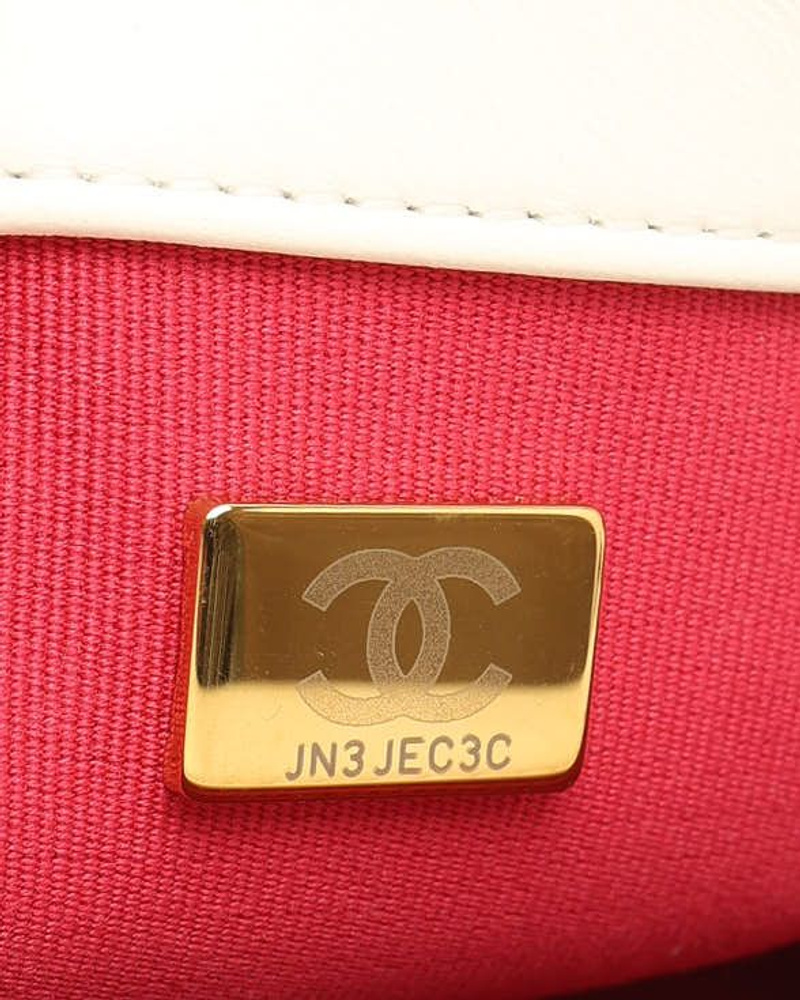 Chanel Medium Fancy Jewel Flap Bag