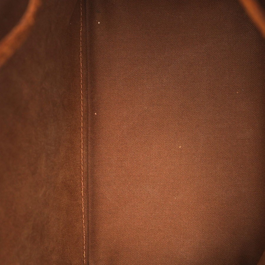 Louis Vuitton Monogram Petit Noé Bag