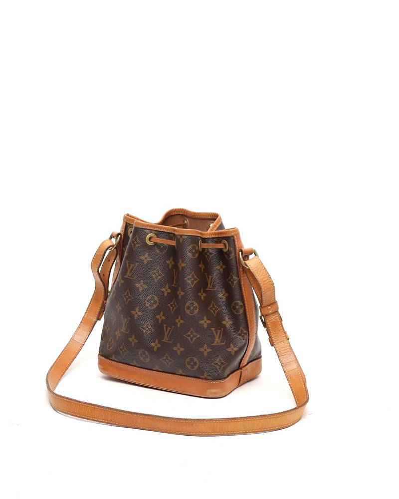Louis Vuitton Monogram Petit Noé Bag
