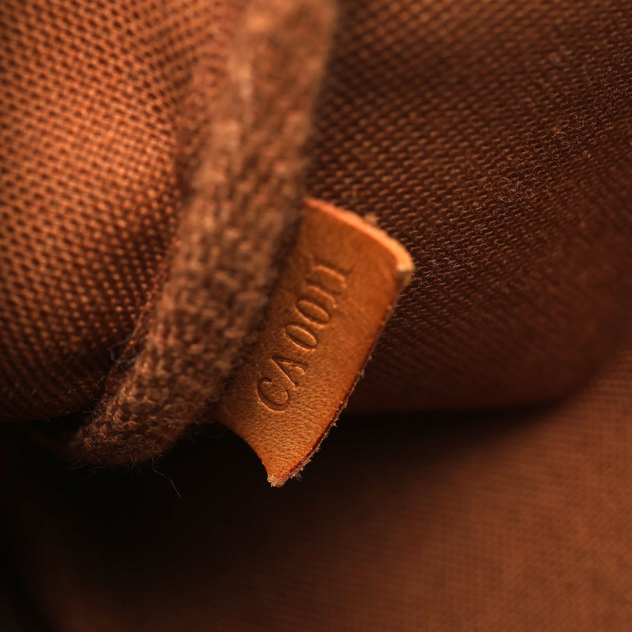 Louis Vuitton Monogram Pochette Accessoires Bag