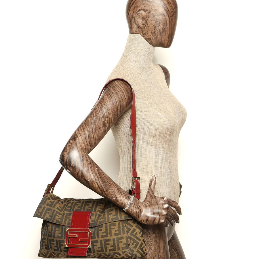 Fendi Zucca Bag