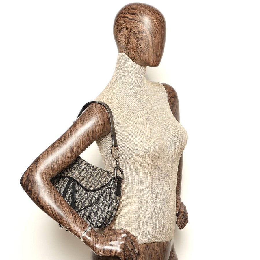 Christian Dior Trotter Double Saddle Bag