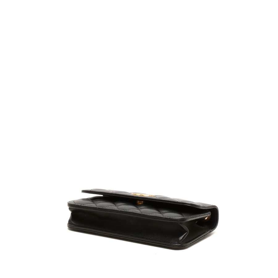 Chanel CC Wallet on Chain Bag