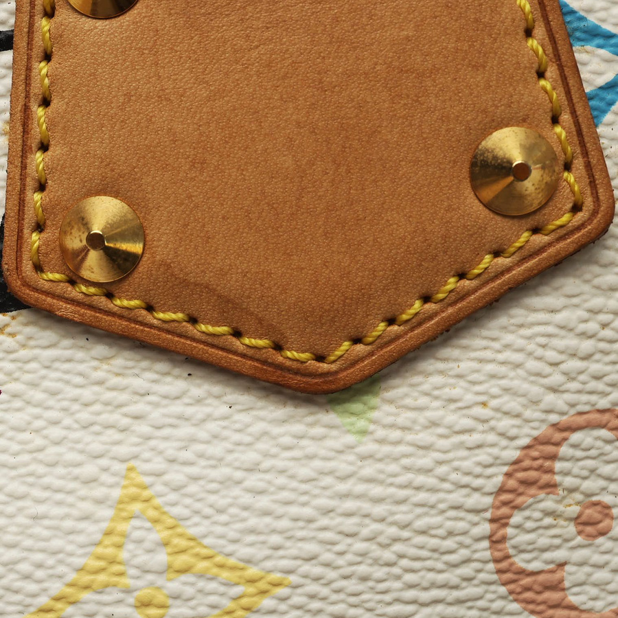 Louis Vuitton Takashi Murakami Speedy 30 Bag