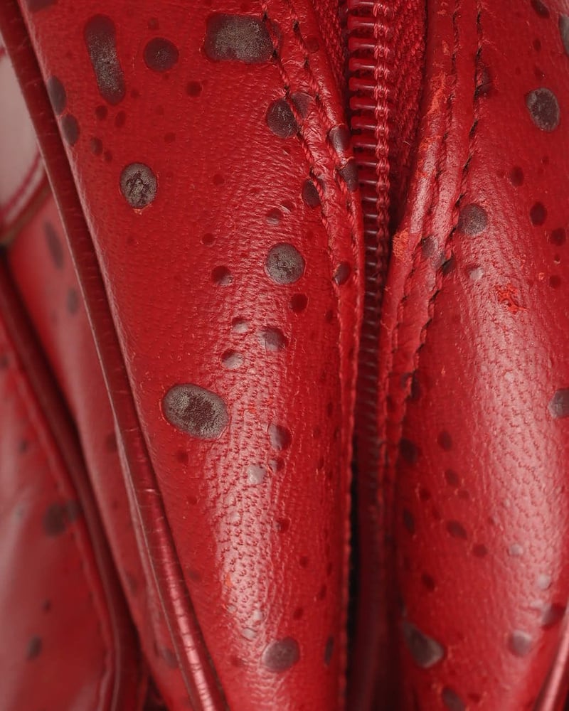 Christian Dior Raindrop Double Saddle Bag