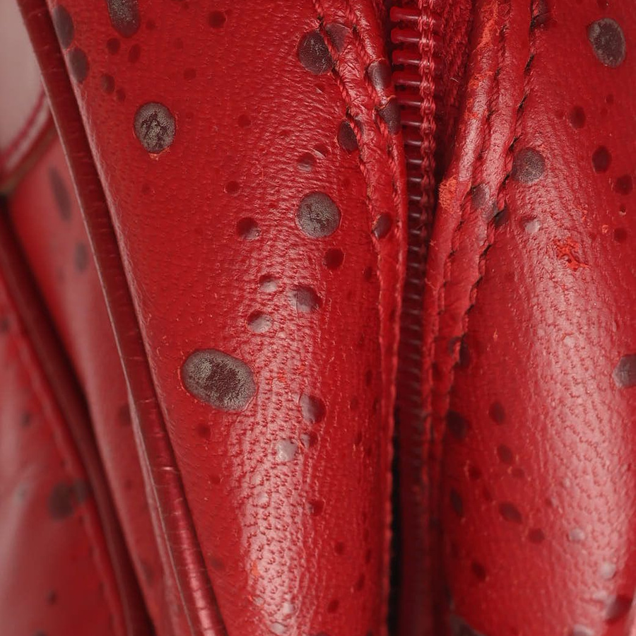 Christian Dior Raindrop Double Saddle Bag