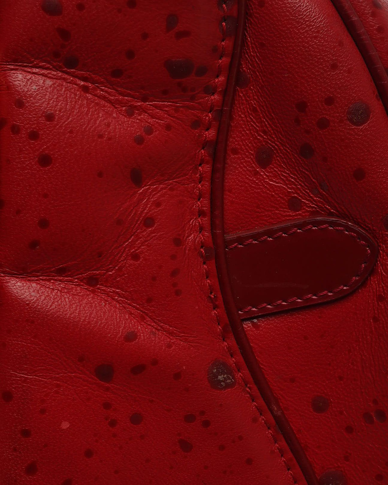 Christian Dior Raindrop Double Saddle Bag