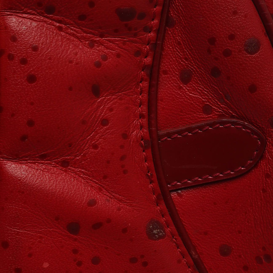 Christian Dior Raindrop Double Saddle Bag