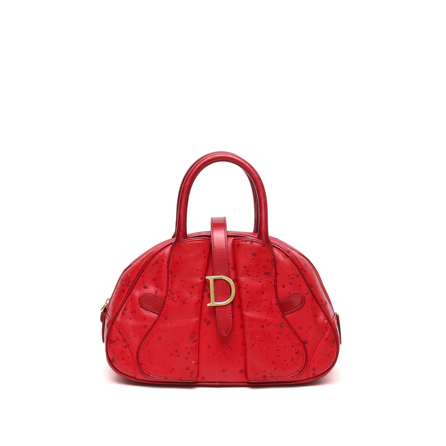Christian Dior Raindrop Double Saddle Bag
