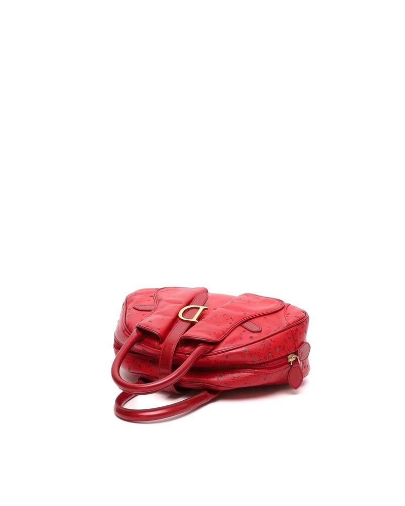 Christian Dior Raindrop Double Saddle Bag