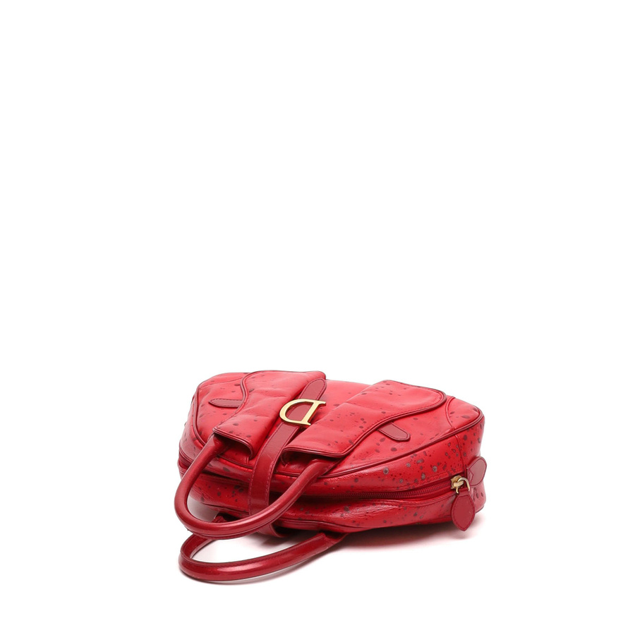 Christian Dior Raindrop Double Saddle Bag