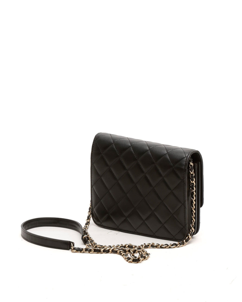 Chanel CC Wallet On Chain Bag