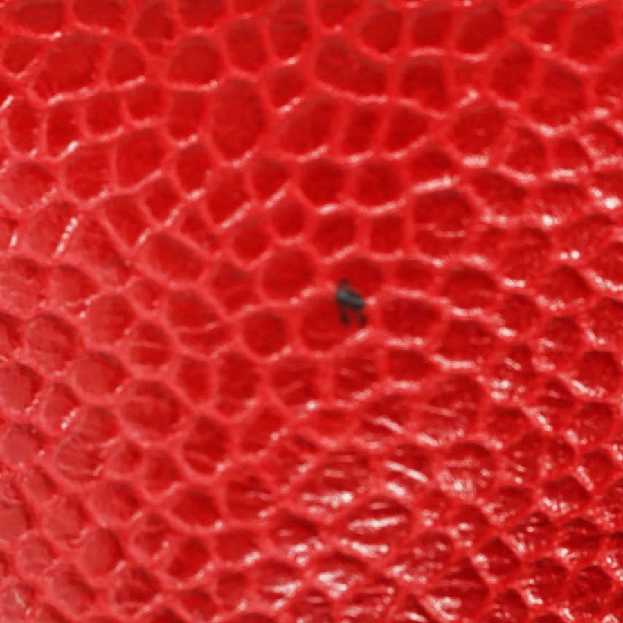 58621_8a368ee18e_file-square